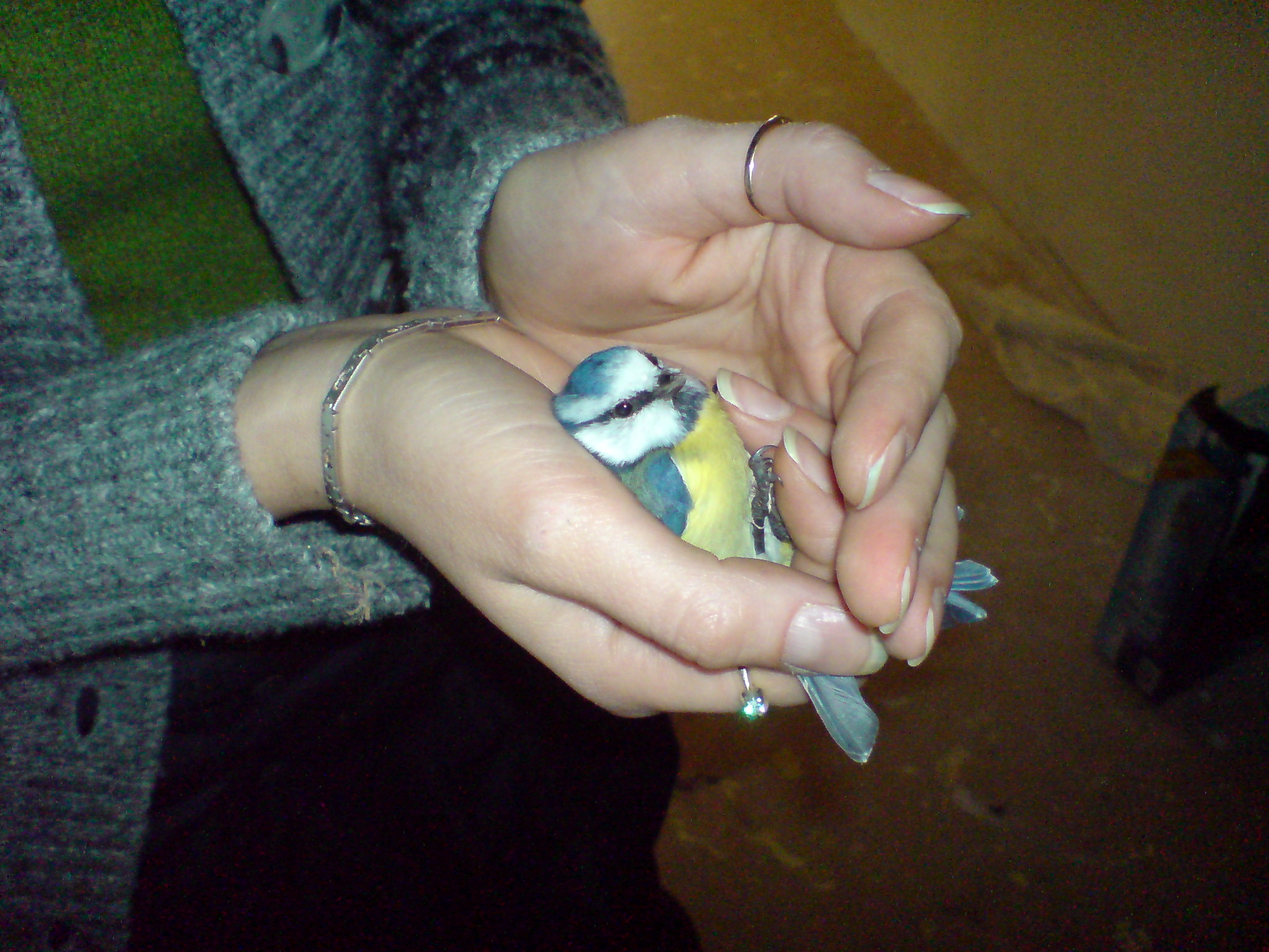 ΟΙΚΟΝΟΜΟΥ - ΠΑΤΡΑ - ΓΡΑΦΕΙΑ