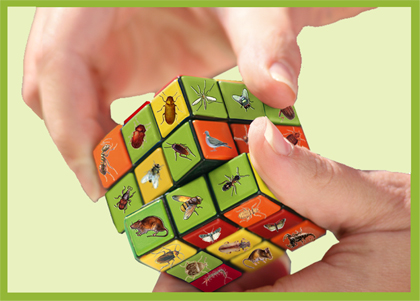 AΠΟΛΥΜΑΝΣΕΙΣ SOLUTIONS ΕΠΕ