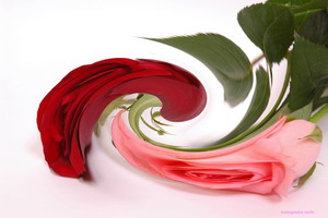 ΤΖΟΤΖΟΠΟΥΛΟΣ ΒΑΣΙΛΗΣ