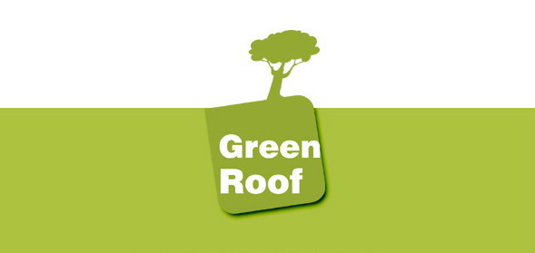 ΚΩΝΣΤΑΝΤΙΝΟΣ ΚΑΡΙΑΝΑΚΗΣ