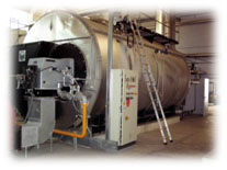 ΑΠΟΣΤΟΛΟΣ ΚΑΒΑΔΙΑΣ