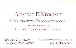 ΑΝΔΡΕΑΣ ΚΡΟΚΙΔΗΣ