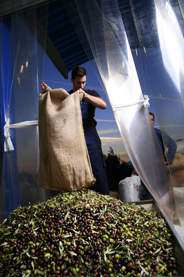 ΕΛΑΙΟΤΡΙΒΕΙΟ ΝΙΚΟΛΑΟΥ