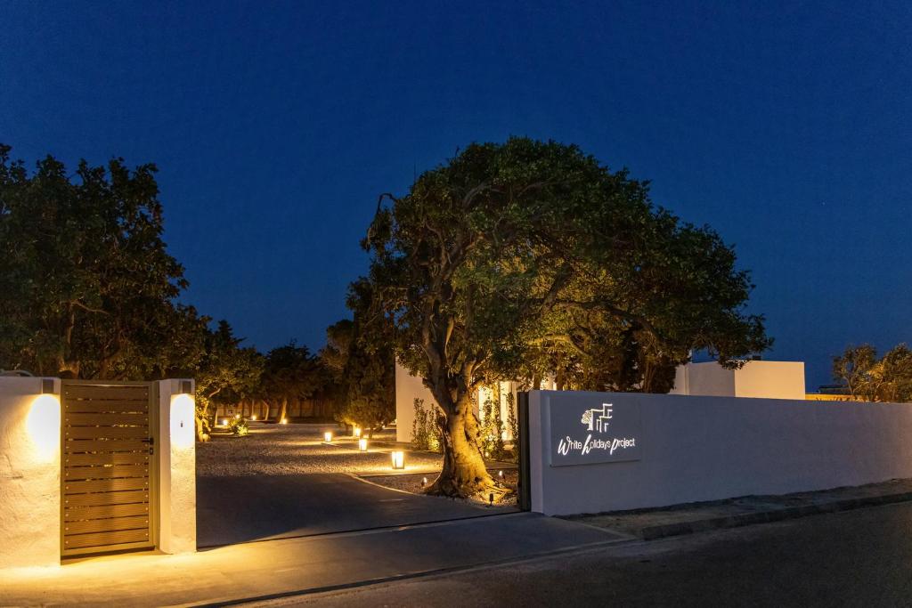 WHITE HOLIDAYS PROJECT