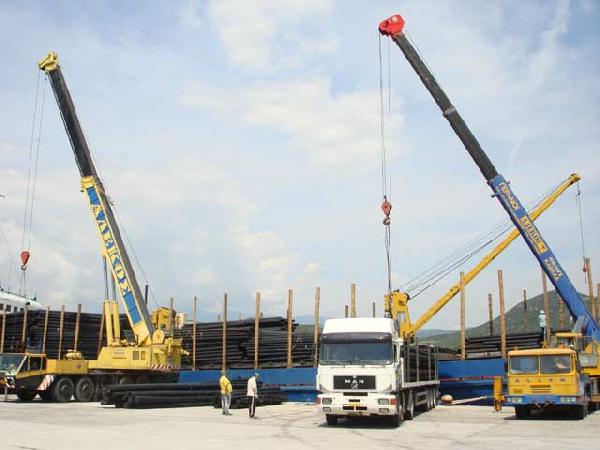 ΓΕΡΑΝΟΙ ΑΛΕΚΟΣ