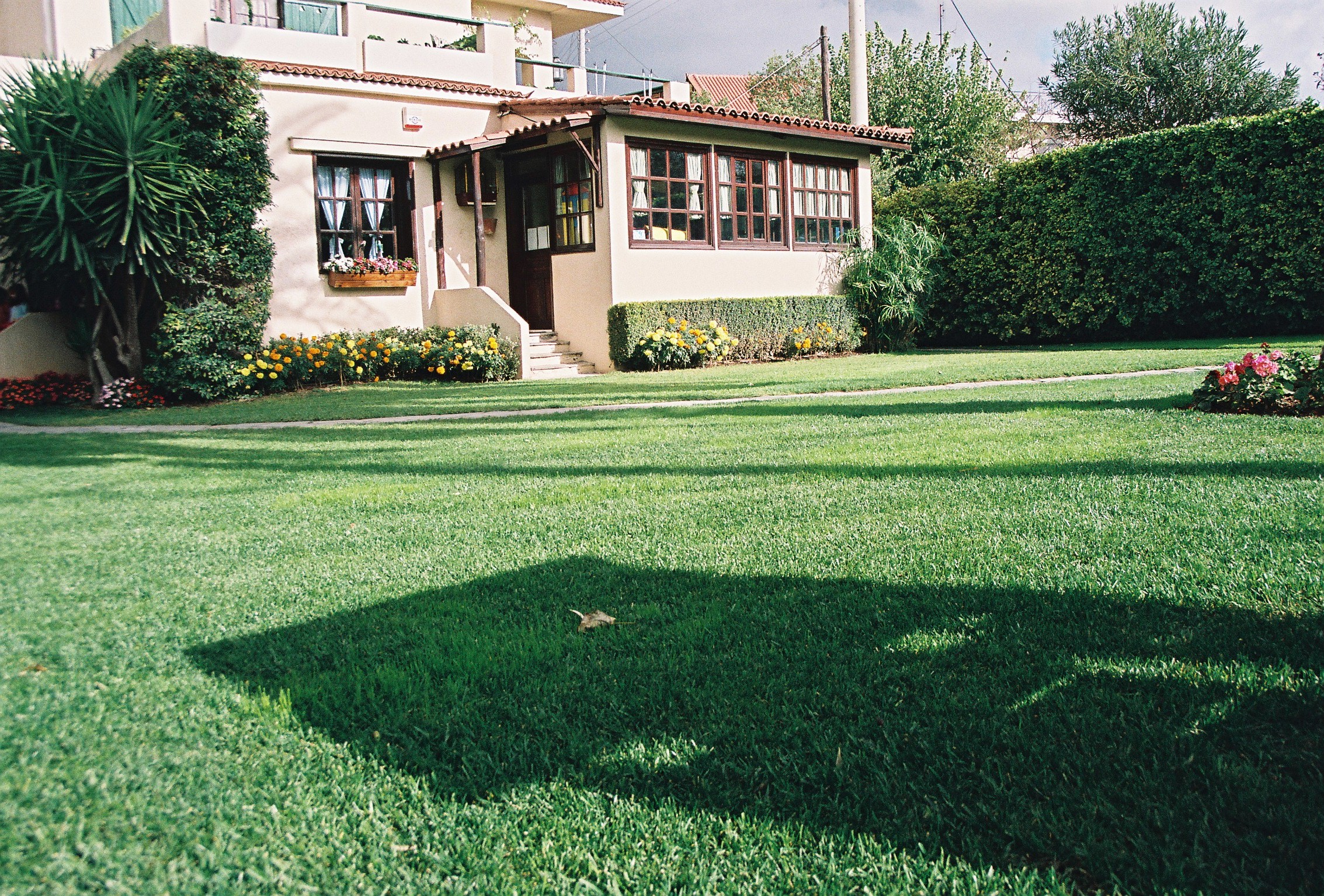 ΣΕΡΔΑΡΗ ΜΑΡΙΑ