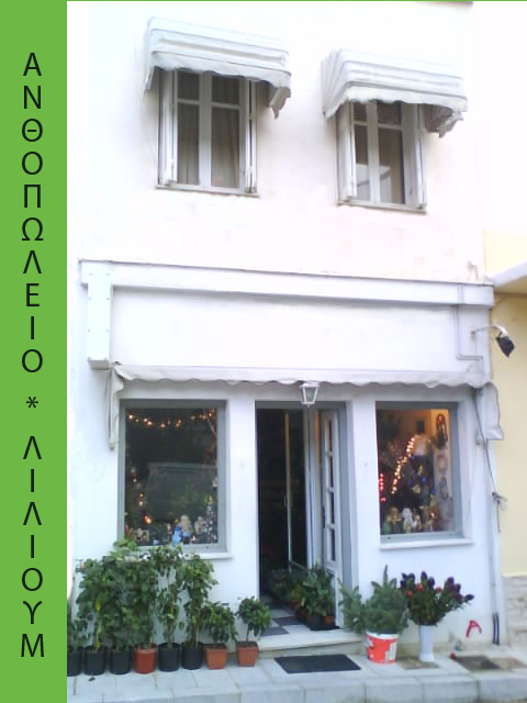 ΜΠΟΓΙΑΤΖΗ ΝΙΚΟΛΕΤΤΑ