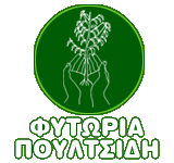 ΠΟΥΛΤΣΙΔΗΣ ΓΕΩΡΓΙΟΣ